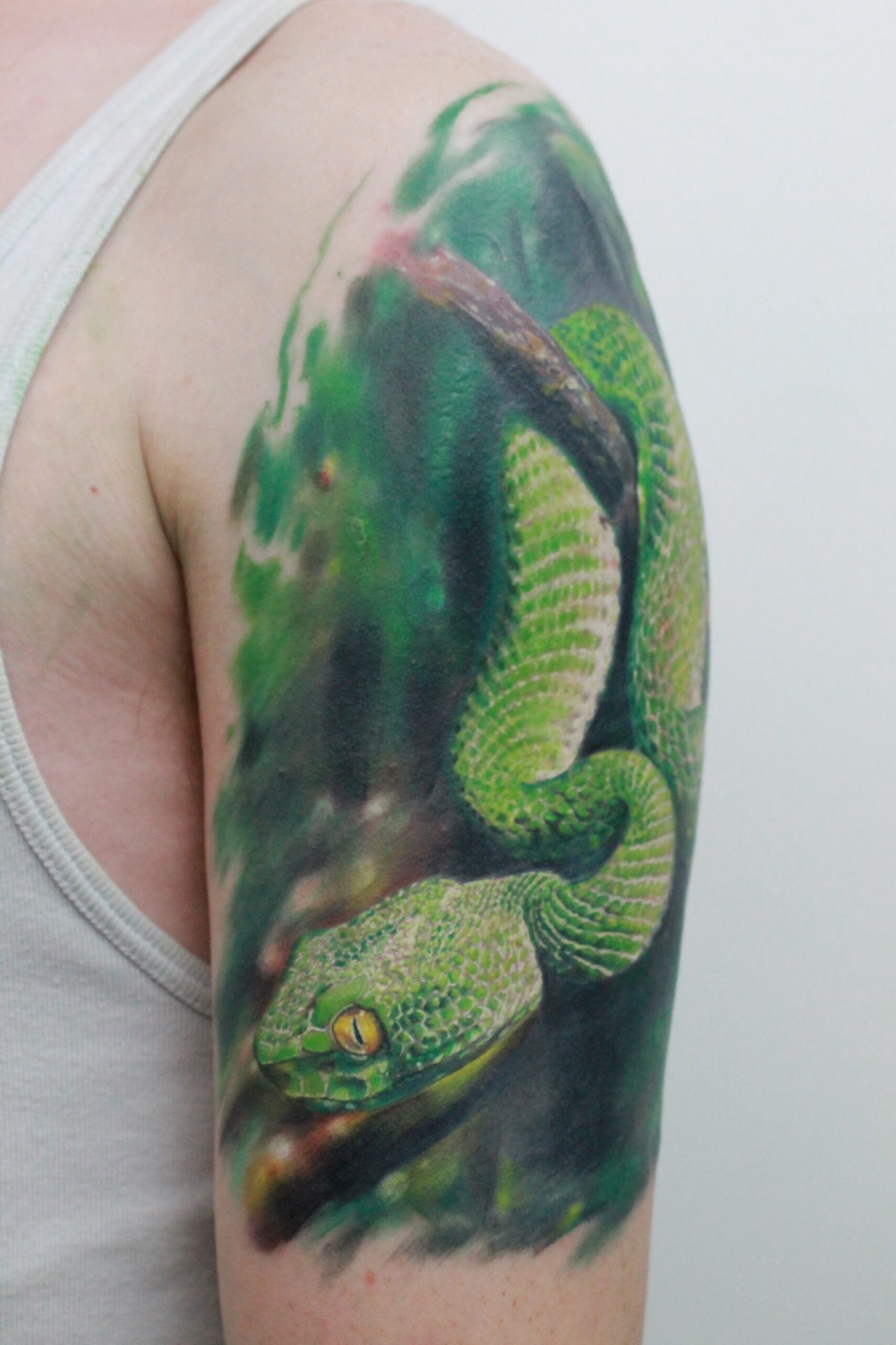 Colour by Max Ghostar Ink Gallery